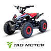 TAOMOTOR vaikiškas keturratis 2025 Spider Premium – apgalvotas pasirinkimas