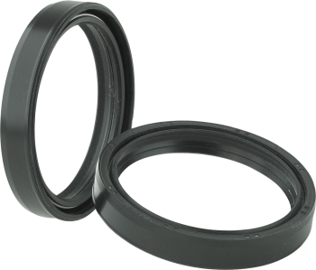 DUST SEAL 48.X58.50 SHO