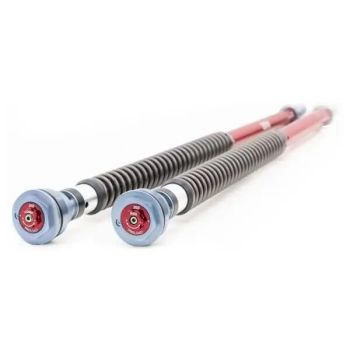 CARTRIDGE KIT 880 MM TRANSALP