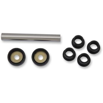 A-ARM BEARING & SEAL KT AC