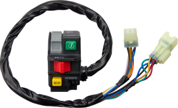 SWITCH BLOCK ASSEMBLY CANAM