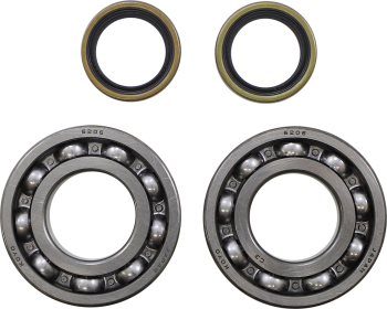 BEARING CRANK MSE BETA