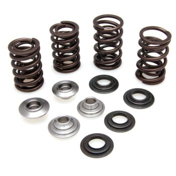 KIT VALVE SPRING LTR 450