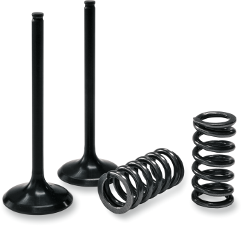 VALVE EX/SPRING KIT RM-Z450 07