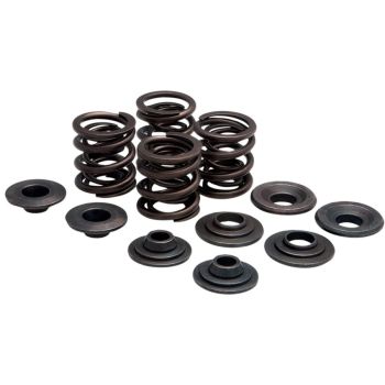 SPRING KIT VLV OE 57-83XL