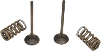 VALVE EX/SPRING KIT RM-Z250