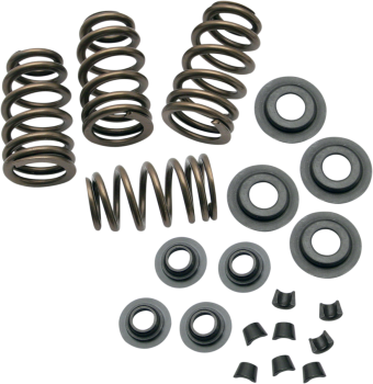 SPRING KIT .650 84-04