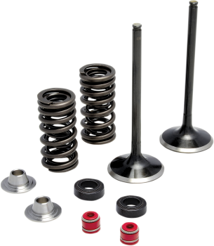 SPRING KIT SS CFR250R 16+