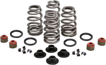 SPRING KT.66005-17 TC