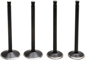 VALVE KIT 86-03 EVO/883