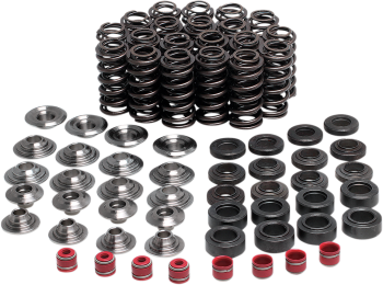 VALVE SPRING KIT YZFR1