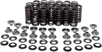 VALVE SPRING KIT YZFR1