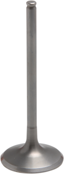 VALVE EXH TI 18-20 CRF250