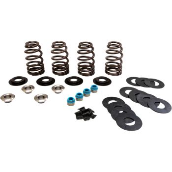 VALVE SPRINGS ECONO TC