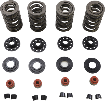 SPRING KIT 05-17 TC/XL