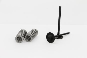 VALVE KIT INT HONDA CRF 250R 1