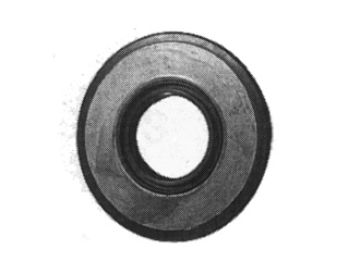 Oil seal