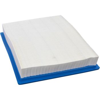 AIR FILTER FILTER RZR900