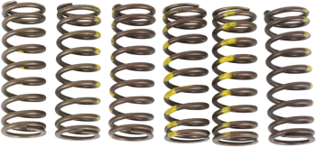 SPRINGS CLUTCH RMZ450