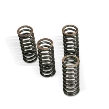 CLUTCH SPRING SET HON/TRI