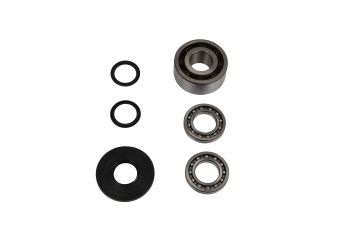 DIF BEARING & SEAL KIT FR