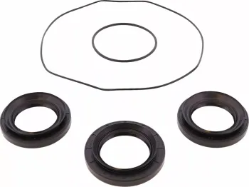 BEARING DIFFERENTIAL/SEAL KIT
