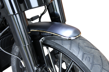 FR FENDER CUSTOM 21 RAW