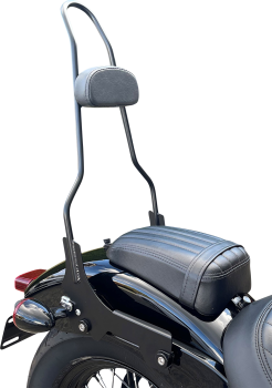 SISSY BAR-GB 18+ FLDE FLMC FLH