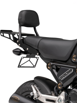 SISSY BAR RACK-FORMED (BLK) GR
