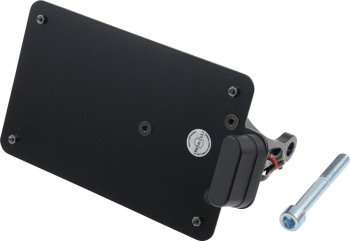 LICENSE PLATE FR VROD