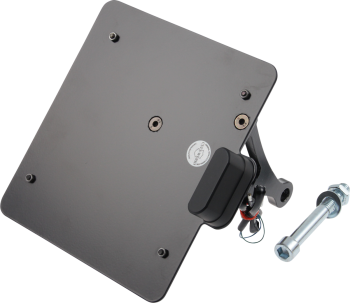 LICENSE PLATE DE VROD