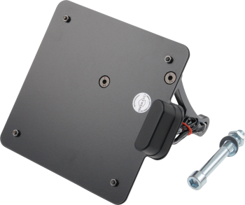 LICENSE PLATE IT VROD