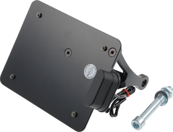 LICENSE PLATE CH VROD