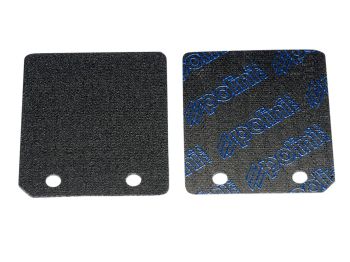 carbon reed petals Polini for Piaggio