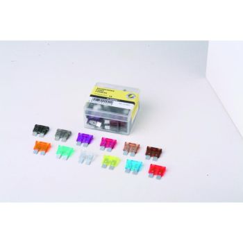 FUSES STANDARD SIZE 1A 50PK