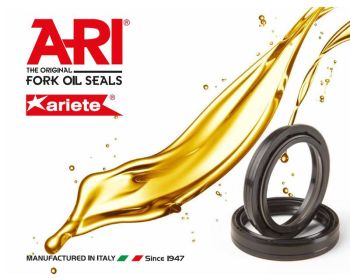 ARI Oil seal, 41,7 x 55 x 7,5/10