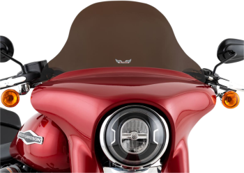 WINDSHIELD FLSB 18-UP - 8 - DA