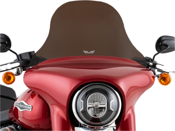 WINDSHIELD FLSB 18-UP - 8 - DA