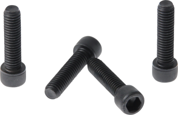 FORK TRIPLE CLAMP SCREWS