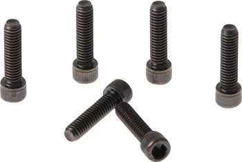 FORK TRIPLE CLAMP SCREWS
