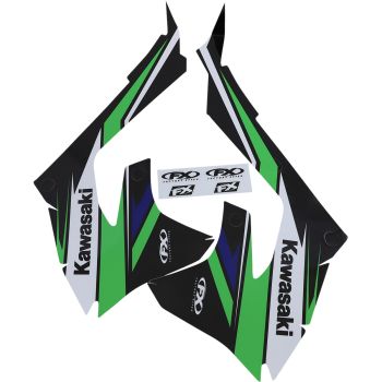 GRAPHC EVO18 KX450F 19