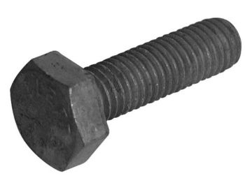 Polt täiskeere 12x25 mm