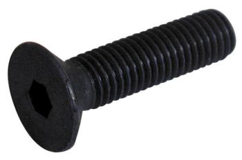 Sisekuuskantpolt 10X16 mm