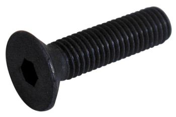 Sisekuuskantpolt 10X45 mm