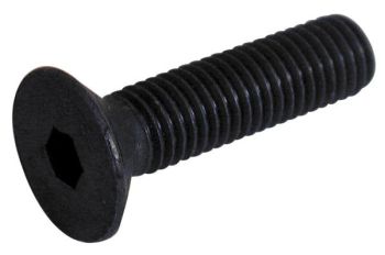 Sisekuuskantpolt 10X70 mm