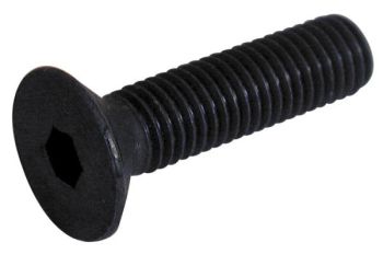 Sisekuuskantpolt 20X50 mm