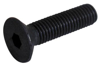 Sisekuuskantpolt 4X25 mm