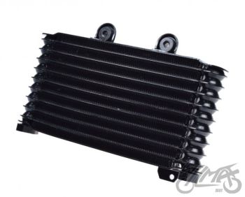 Alyvos radiatorius DO Suzuki GSF600