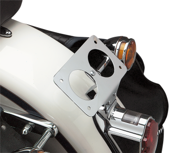 97-06 FLSTS LICENSE MNT