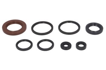 Mootori kaelustihendite komplekt